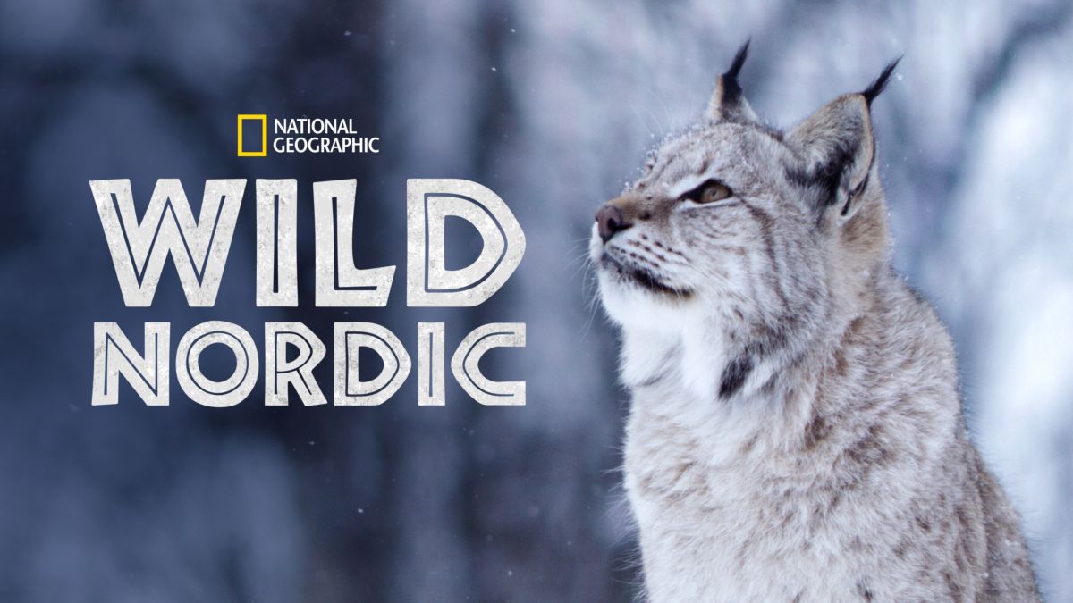 Wild Nordic
